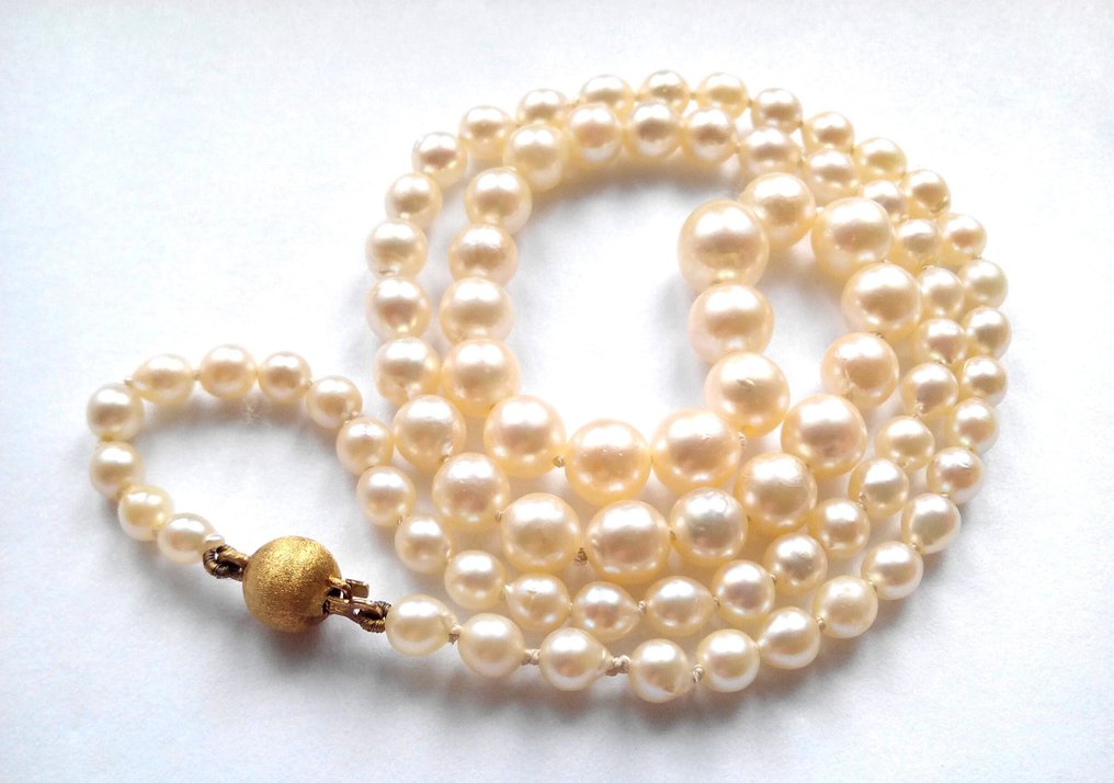 Senza prezzo di riserva - Collana Oro giallo 14 kt - Perle di Akoya #1.0