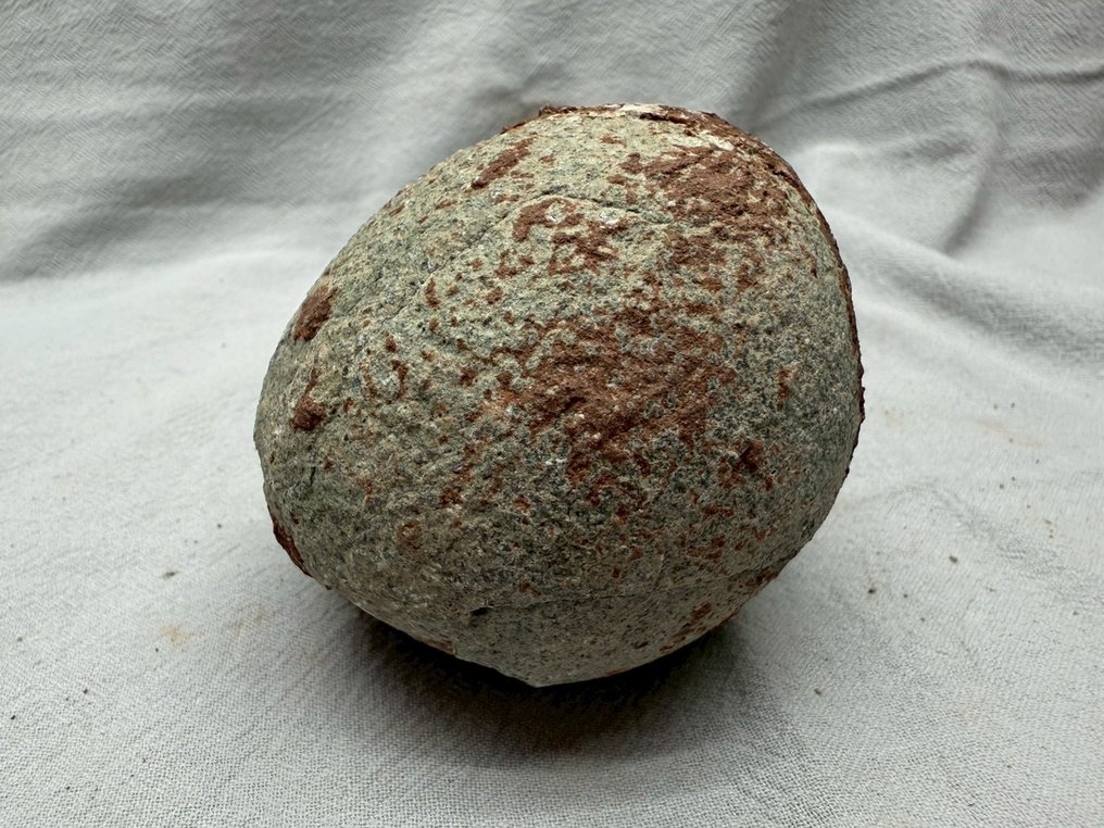 Δεινόσαυρος - Απολιθωμένη μήτρα - Hadrosaurus or Therizinosaurus - 9.5 cm - 9 cm  (χωρίς τιμή ασφαλείας) #3.2