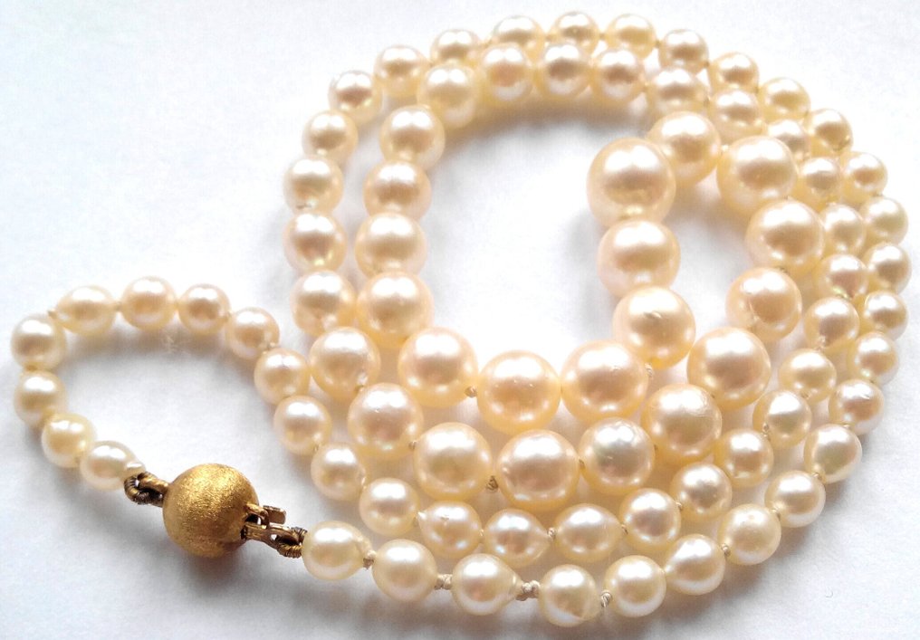 Senza prezzo di riserva - Collana Oro giallo 14 kt - Perle di Akoya #3.2