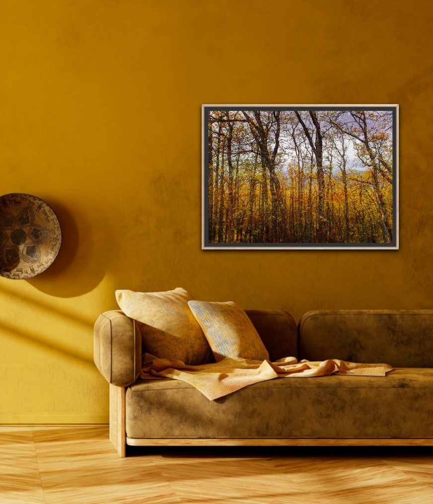 Viet Ha Tran - Colors of autumn - XL #2.1