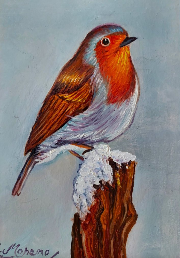 Alfonso Moreno (1947) - Roodborstje in de winter #1.0