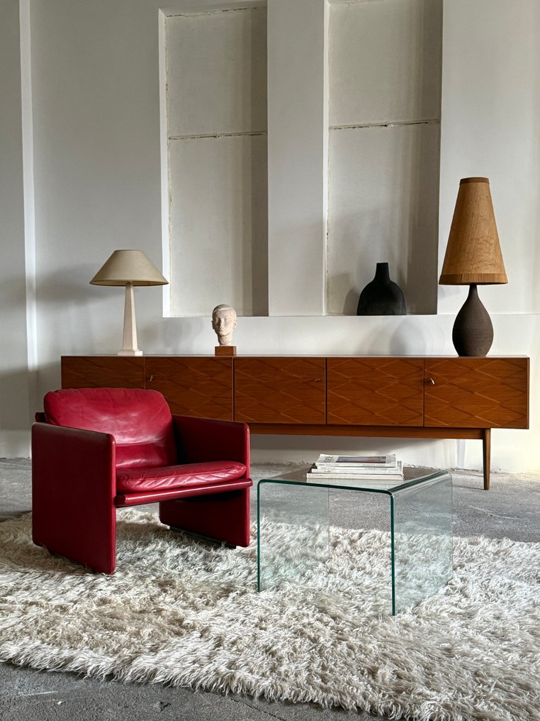 Arflex - Marco Zanuso - Armchair - springtime - Leather #1.0