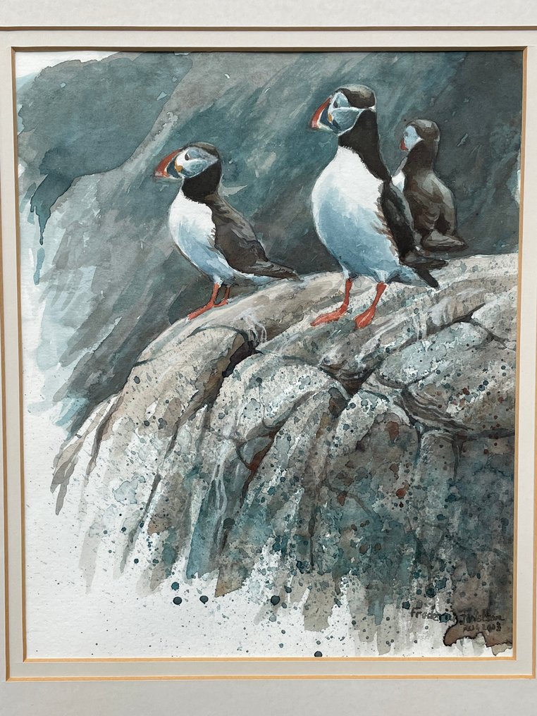 Frederick J. Watson (XX) - Papegaaiduikers op een rots #2.1