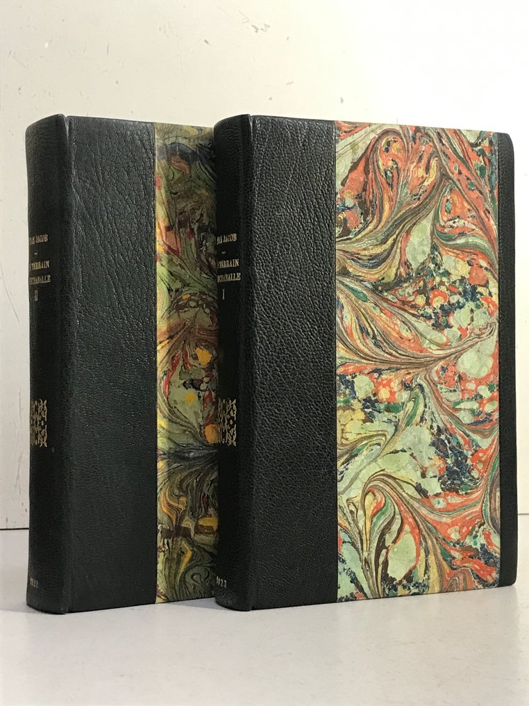 Max Jacob - Le Terrain Bouchaballe [1/50 sur pur fil Lafuma] - 1923 #1.0