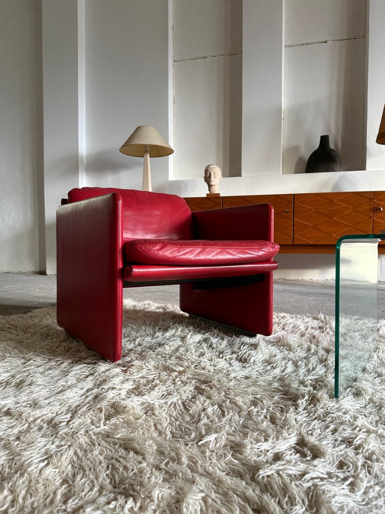 Arflex - Marco Zanuso - Armchair - springtime - Leather #2.1