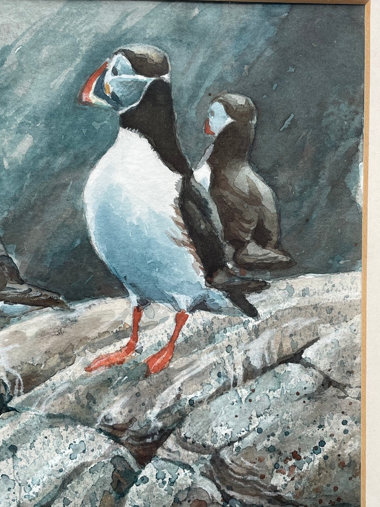 Frederick J. Watson (XX) - Papegaaiduikers op een rots #4.3