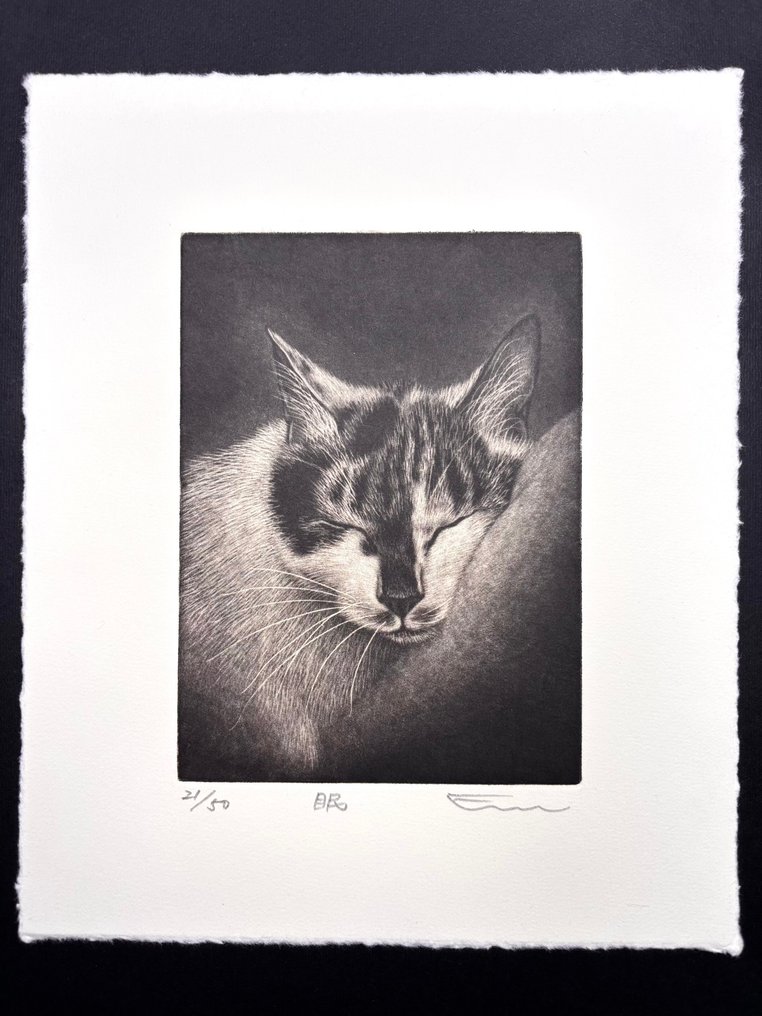 "眠 (Sleep)" - Extremely Limited 21/50 - Cat - Emi Sato 佐藤恵美 (b 1973) - Japan #1.0