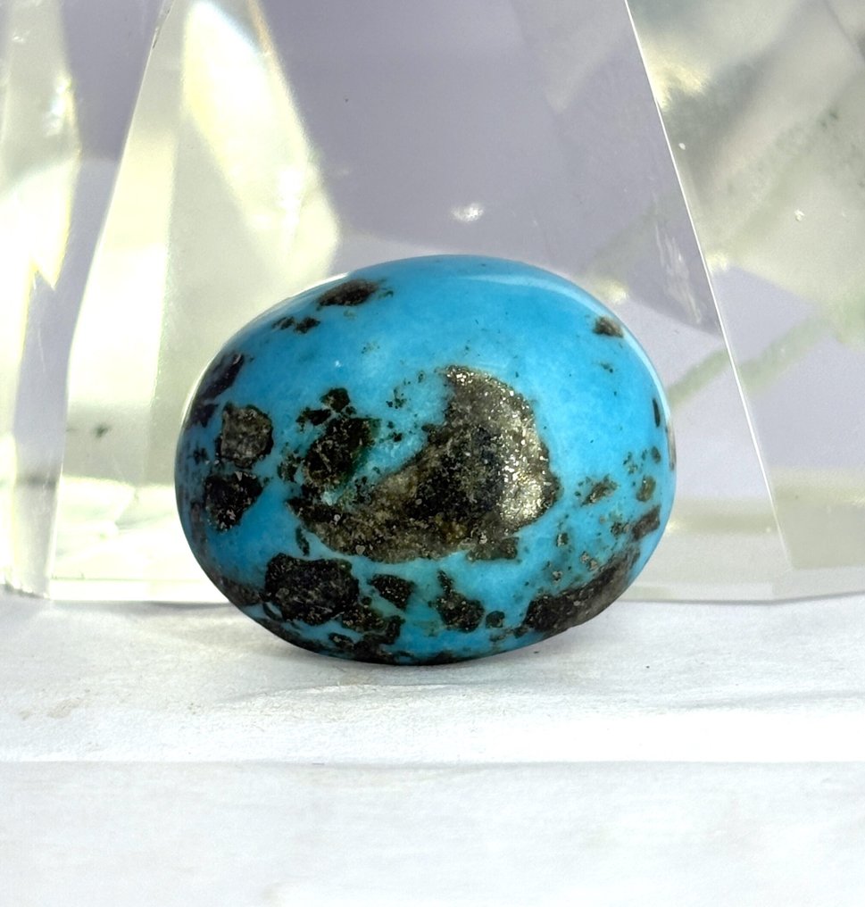 Turquoise Stone - A++ 高质量 - 蛋面 - 40 克拉 - 高度: 25 mm - 宽度: 20 mm- 8 g - (1) #1.0