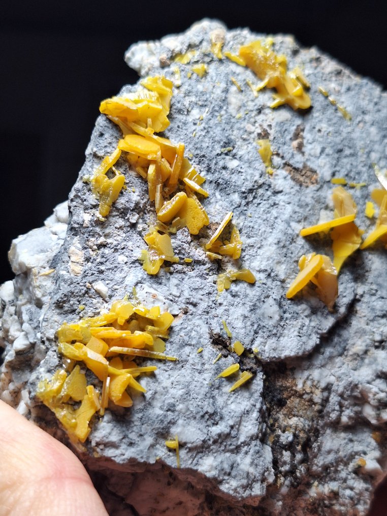 Βουλφενίτης Κρύσταλλοι στη μήτρα - Ύψος: 11 cm - Πλάτος: 10 cm- 739 g #1.0