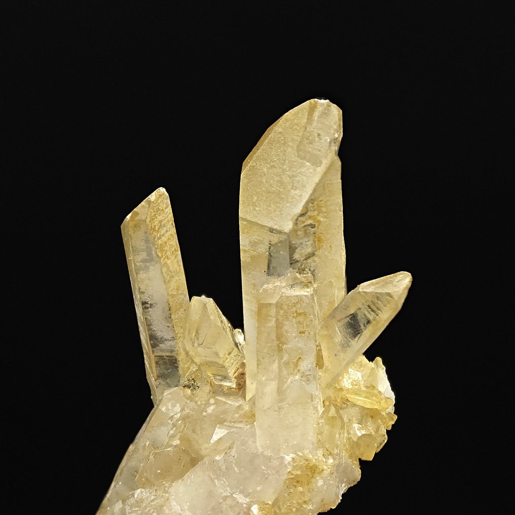 QUARZI DELFINO (ή ΦΛΑΟΥΤΟ) ΚΙΤΡΙΝΟΙ και ΑΛΠΙΝΙ, ΙΤΑΛΙΑ Κρύσταλλοι στη μήτρα - Ύψος: 45 mm - Πλάτος: 36 mm- 19 g #1.0