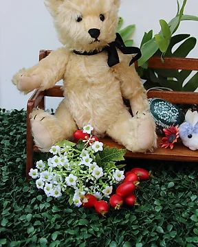 Ventes d ours en peluche allemands Catawiki