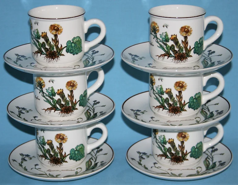 Villeroy & Boch Cups and Saucers for Sale