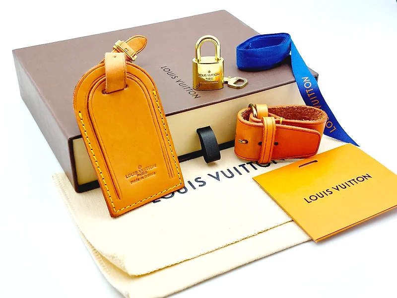 Louis Vuitton - Etui Earphones Airpods Accessory - Catawiki