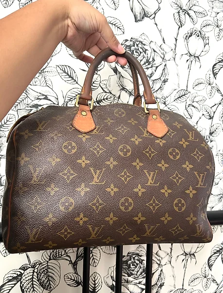 Louis Vuitton Speedy 30 Bags for Sale in Online Auctions