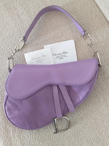 Dior on sale saddle sale