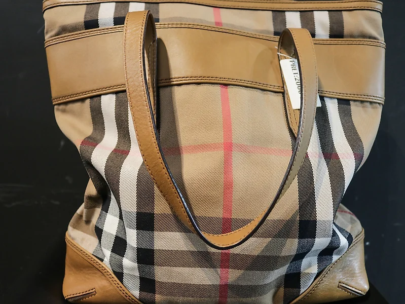 Borse Burberry in pelle di pitone in Vendita in Asta Online