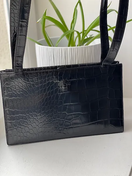 Delvaux evening online bag