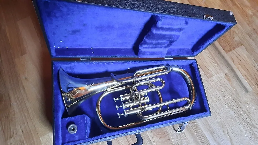 Vibrandoneon (instrument) for Sale in Online Auctions