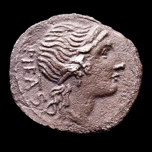 Denario A. Postumio Albino, 131 a.C. antiche in Vendita in Asta