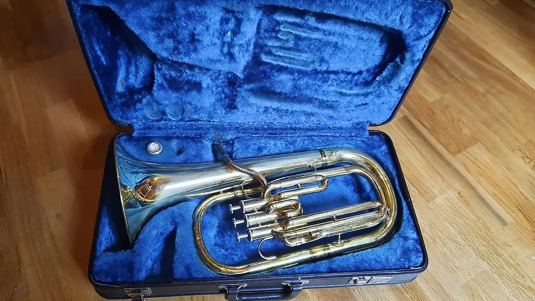 Höfner ElectroAcoustic Guitar for Sale in Online Auctions