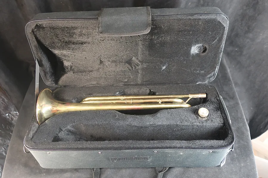 Diverse wind instrument for Sale in Online Auctions