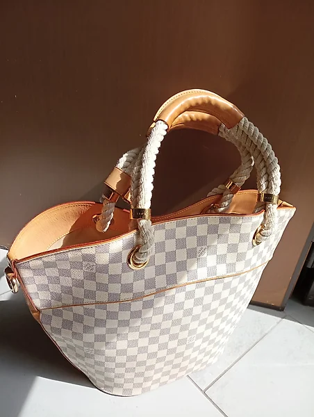Louis Vuitton Checks Bags for Sale in Online Auctions