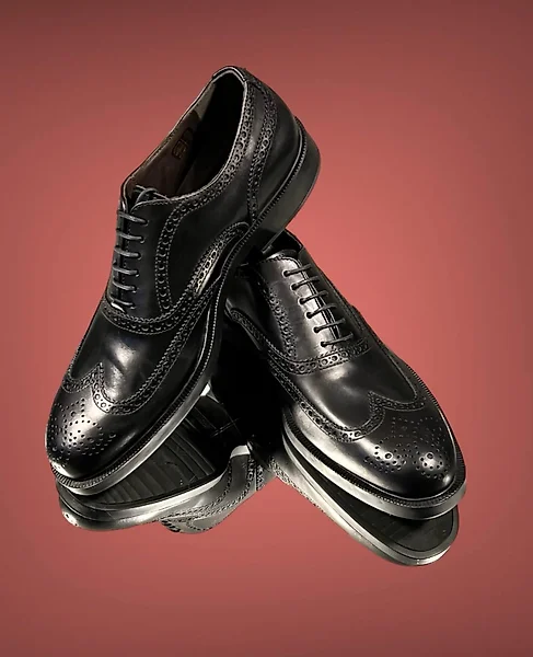 Emilio pucci sales men's shoes