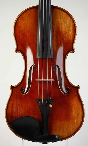 Violoncello piccolo sales for sale