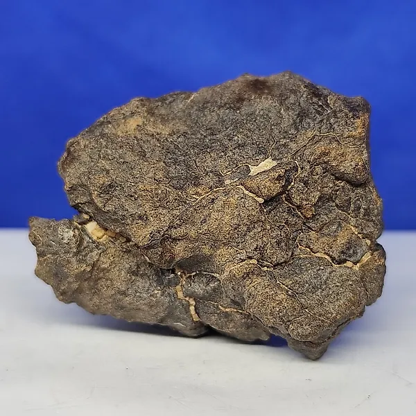 Enstatite chondrite!!! Coming from Mercury's orbit! Meteorite Al Haggounia 001, "EL4-7". - 61.4 g