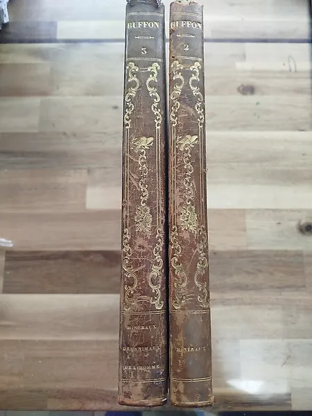 Georges-Louis Leclerc de Buffon; Illustrations Victor Adam; Suites par Achille Comte - Oeuvres complètes de Buffon - 1839