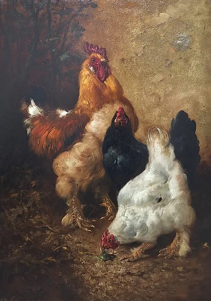 Henry Schouten (1857-1927) - Haan met kippen