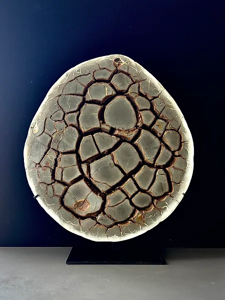 SEPTARIA- 16 kg - (1)