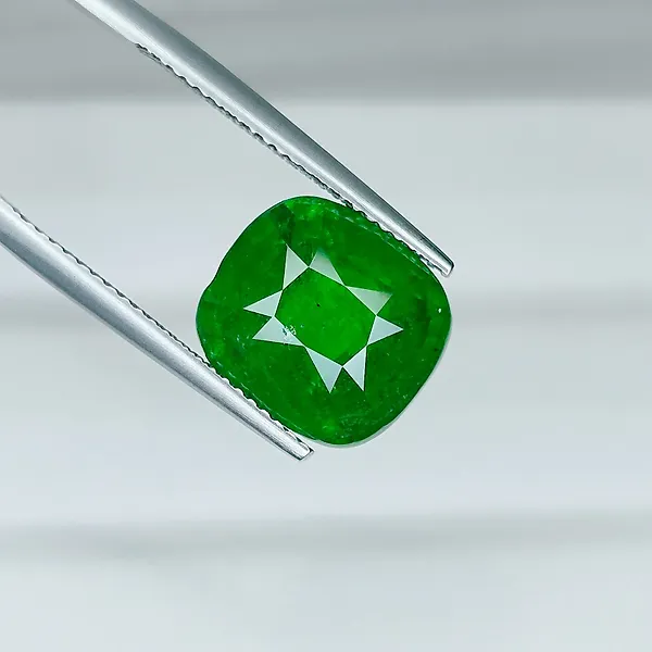 No reserve price Tsavorite  - 9.16 ct - International Gemological Institute (IGI)