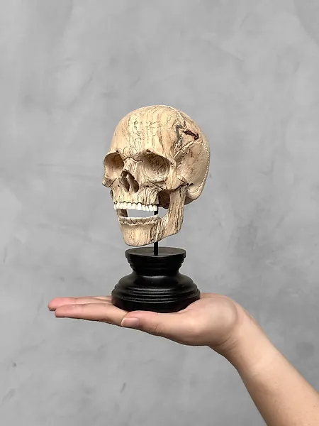 NO RESERVE PRICE - Stunning Wooden Human Skull With A Beautiful Grain - Carving - Indonesia  (No reserve price)