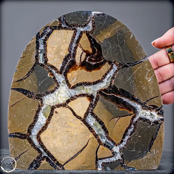 Septarian freeform with drusy – natural texture meets crystalline depth Freeform- 3376.63 g