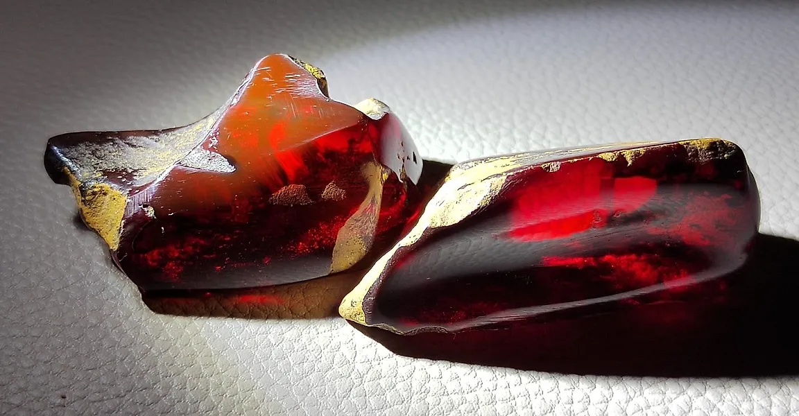 Dominican Amber!! High Quality- No Reserve Price- 21.81 g