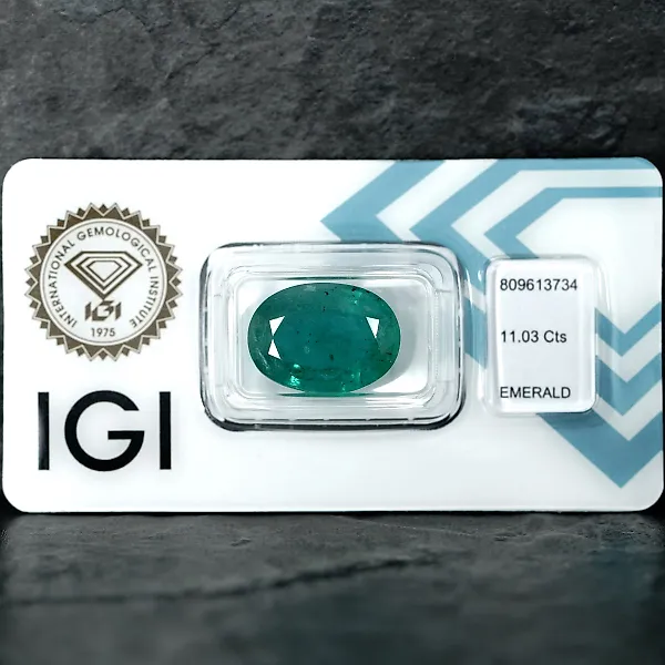 No reserve price - 1 pcs  Green Emerald  - 11.03 ct - International Gemological Institute (IGI)