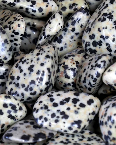 No Reserve Dalmatian Jasper Tumbled Stones Lot 2 kg auction online Catawiki