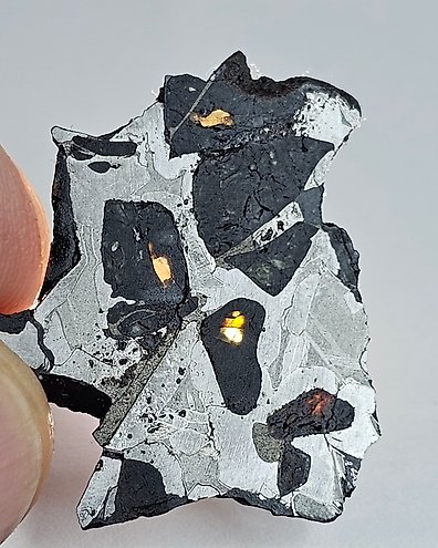 NWA 13257 XL Meteorite Martian Shergottite - Height: 38 mm