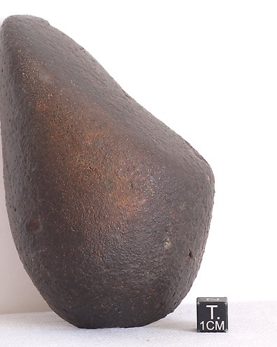 Estimated subtype LL3.12 Slice of meteorite chondrite