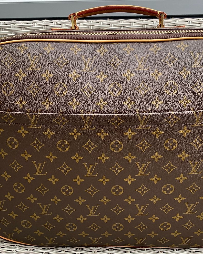 Louis Vuitton - Palermo Handbag - Catawiki