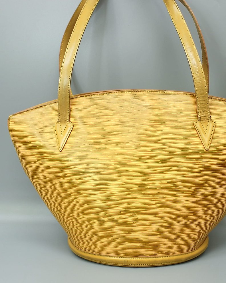 Louis Vuitton - Epi Saint Jacques Handbag - Catawiki