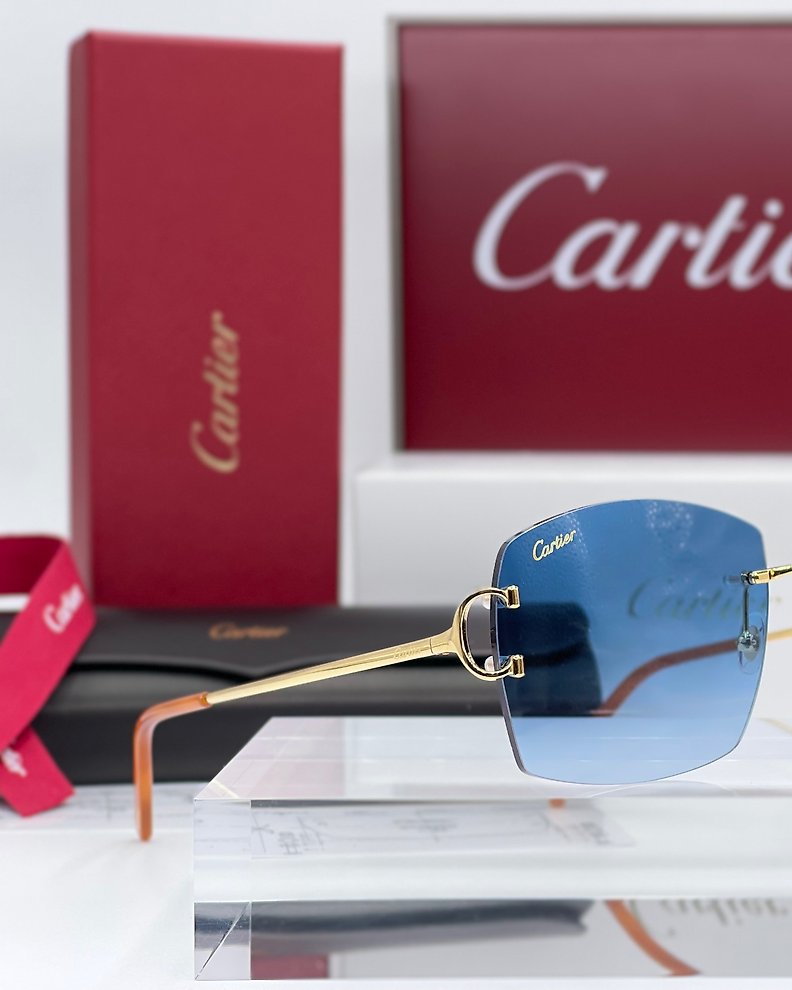 Cartier - Cartier - Occhiali Decoro LOUIS DEMIOS T8100278 - Catawiki