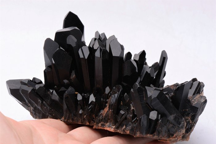 Черная кристаллическая порода. Морион черный кварц. Кварц Морион минерал. Морион минерал Кристалл. Чёрный Морион камень.