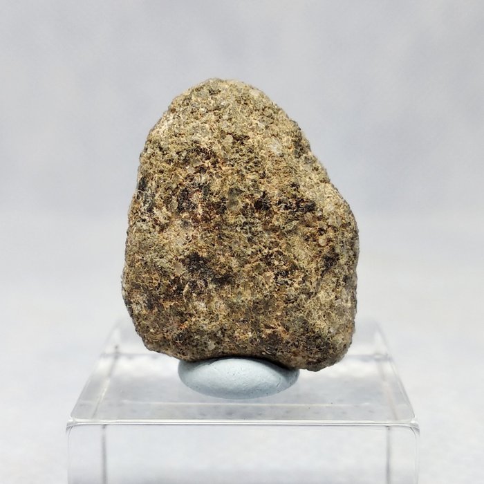 Метеорит Марсианский палласит
