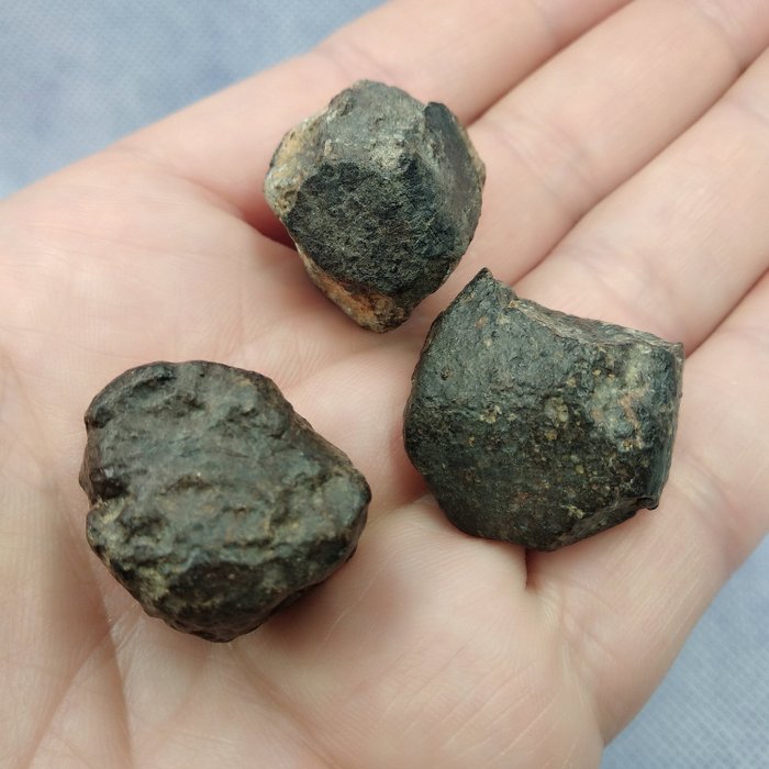 NWA 6470 метеорит