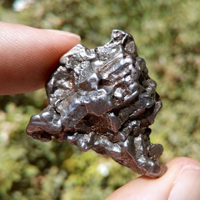 Метеорит кампо-дель-сьело. Метеорит кампо-дель-сьело. Метеорит кампо. Метеорит кампо. Метеорит кампо-дель-сьело.