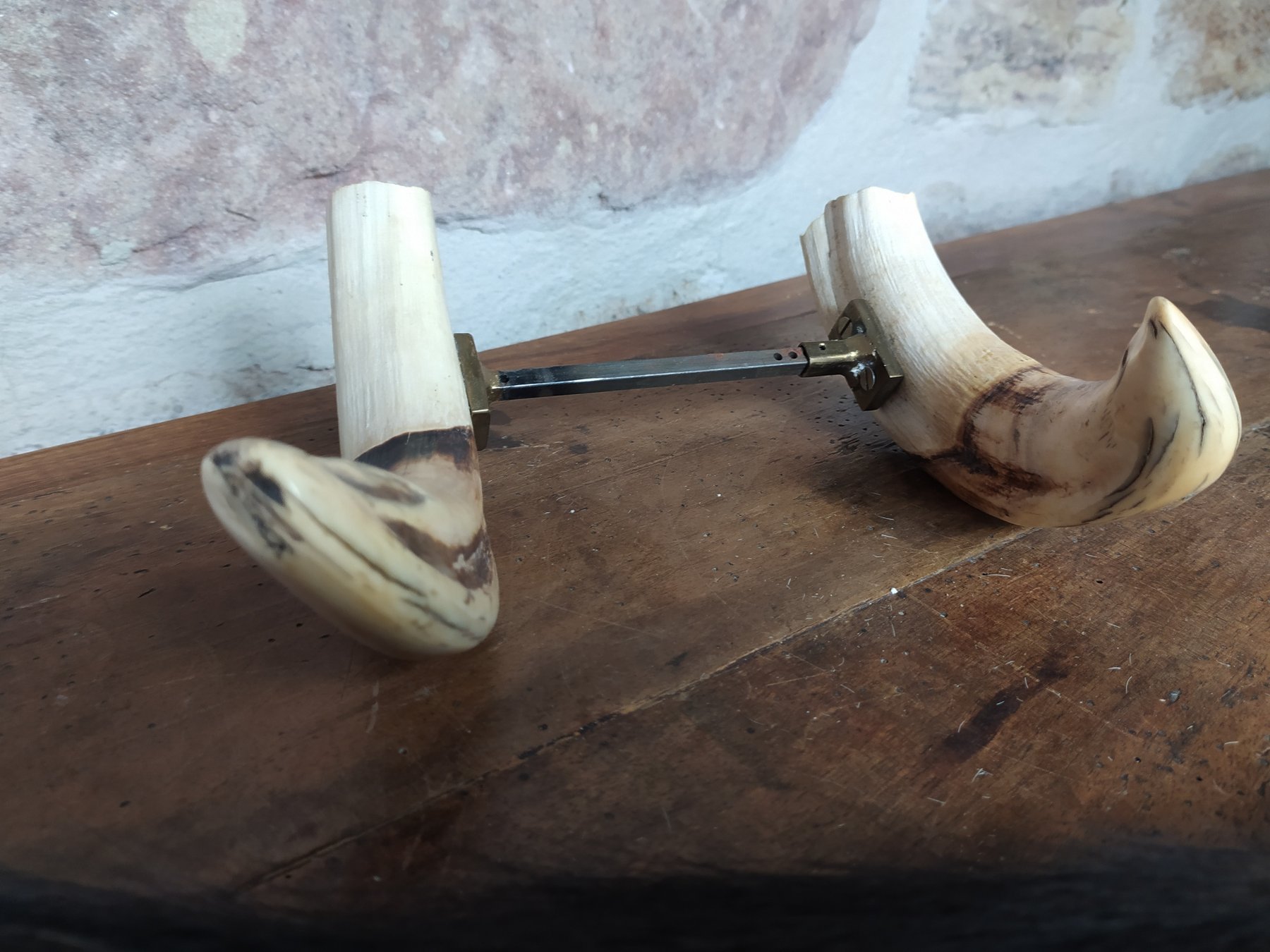 African Warthog Pair from Tusks + Wildebeest Start - - Catawiki