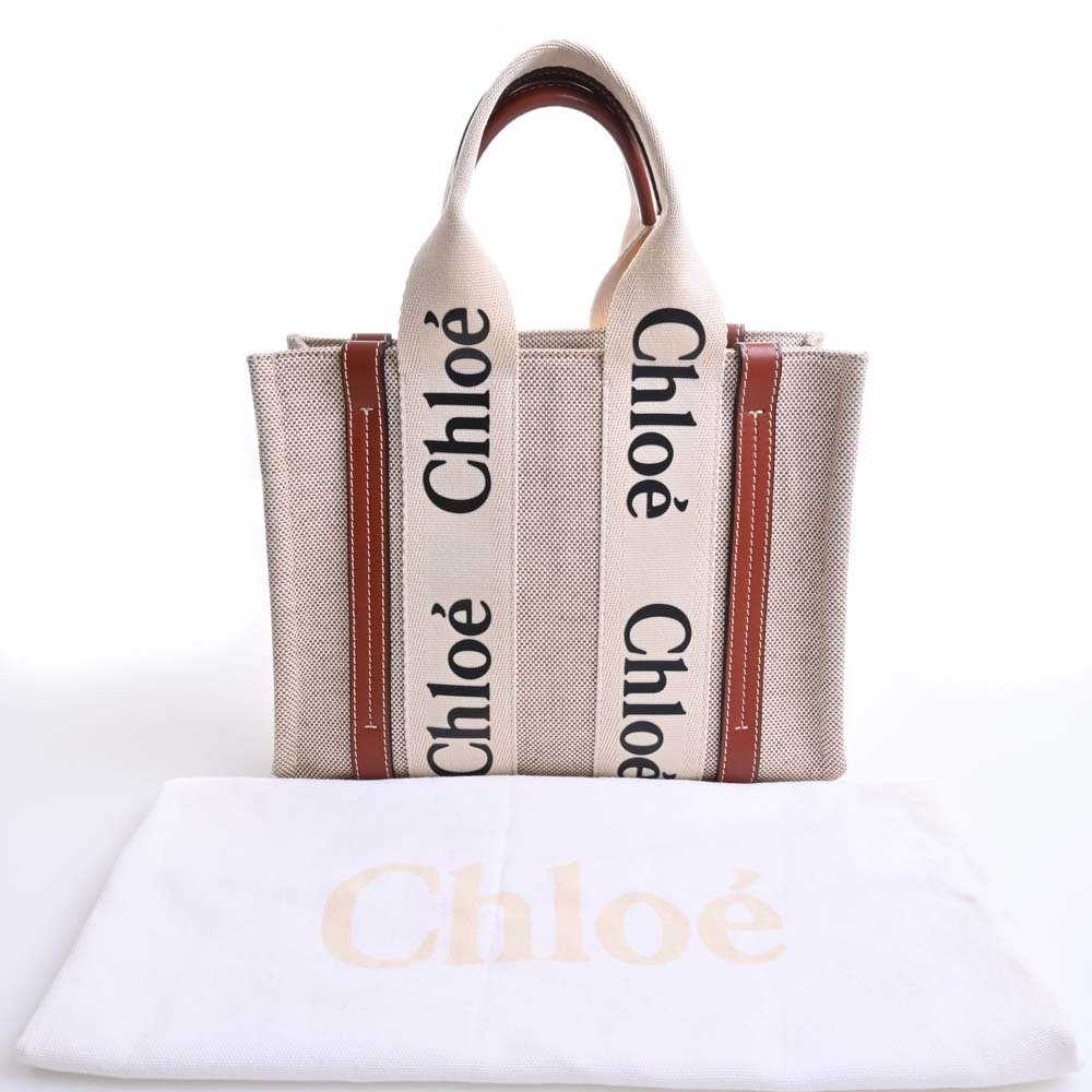 Borse chloé usate online
