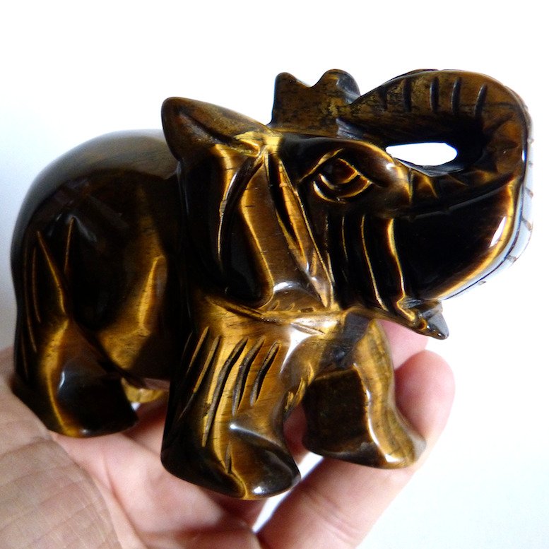 Tiger sales eye elephant